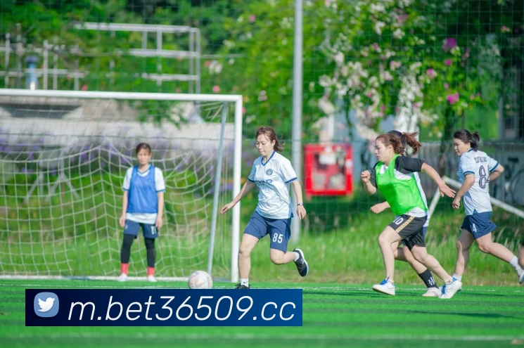 bet365中国官网发展历程